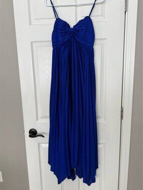 Petal & Pup Vibrant Blue Dress